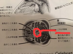 S__24387586
